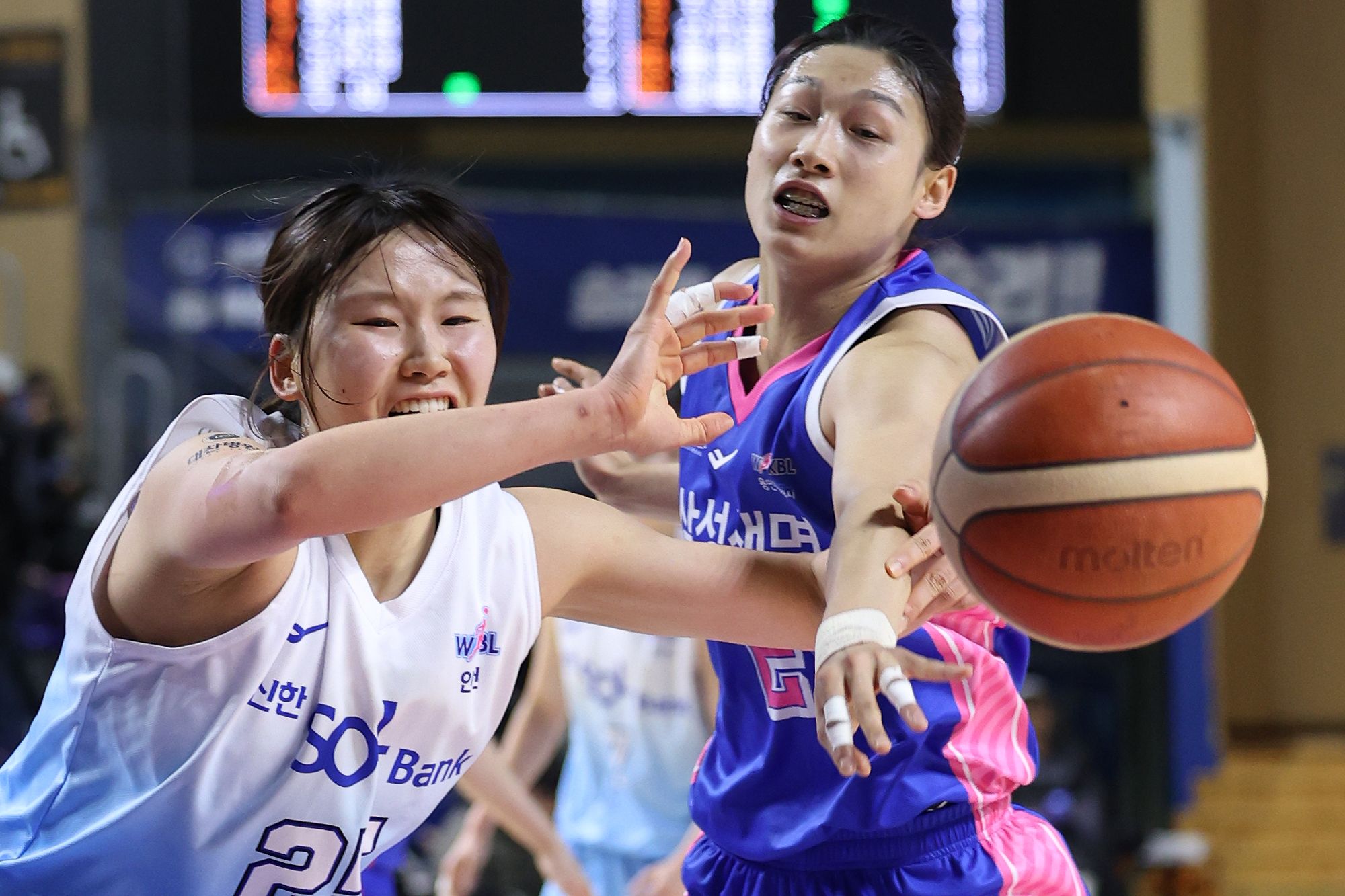 20260126_WKBL 2025-2026 여자프로농구 시즌 신한에스버드 VS 삼성생명